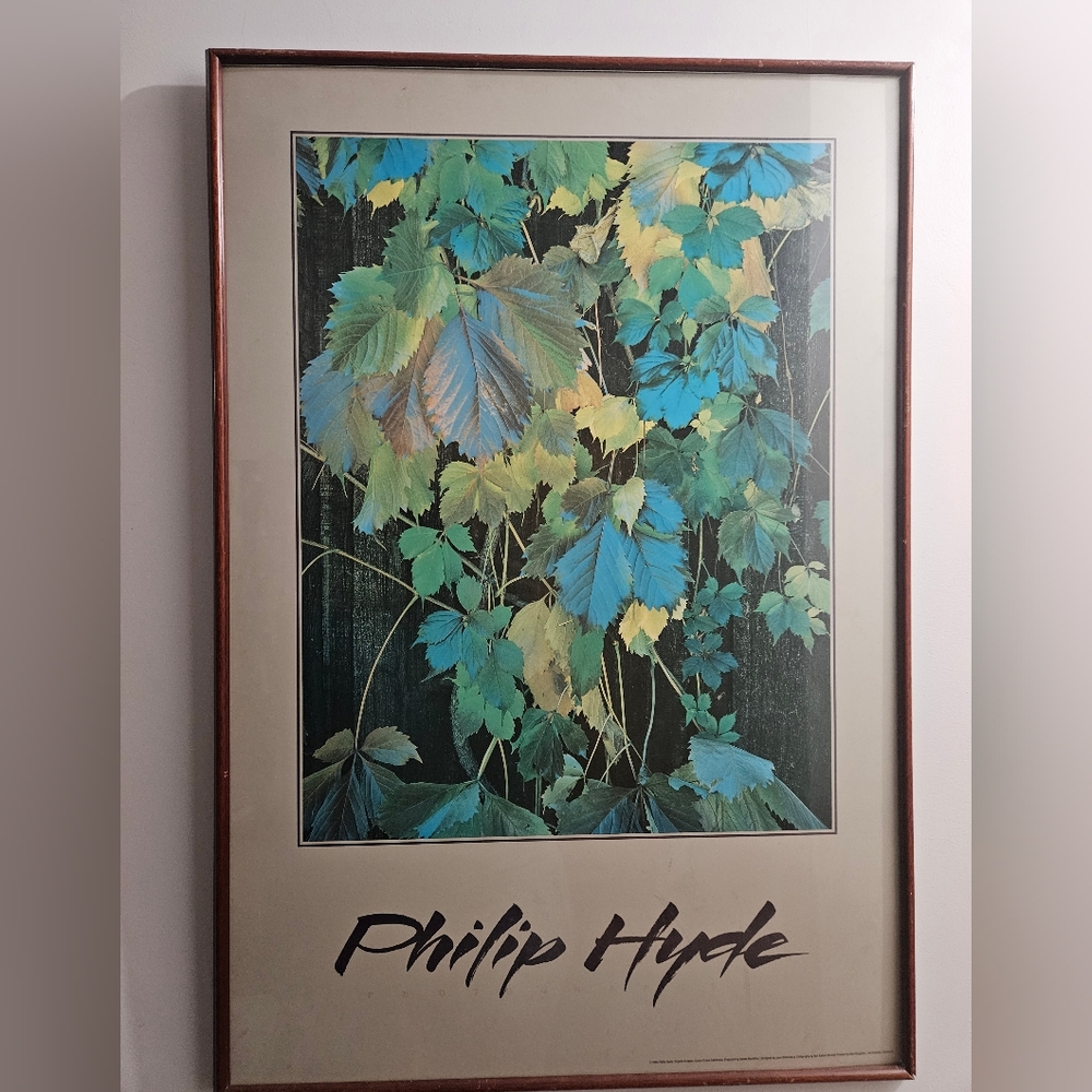 2x3' Vineyard Grape Leaves Photo Interior Decor Poster Print Vintage Wood Frame - Picture 2 of 2